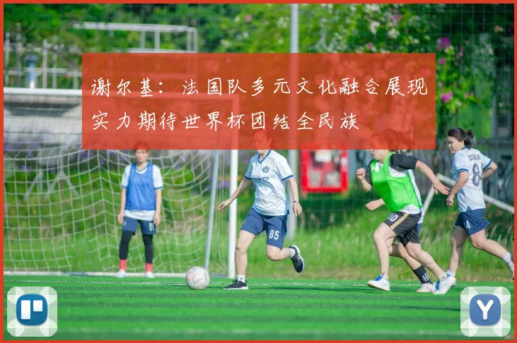 谢尔基：法国队多元文化融合展现实力期待世界杯团结全民族