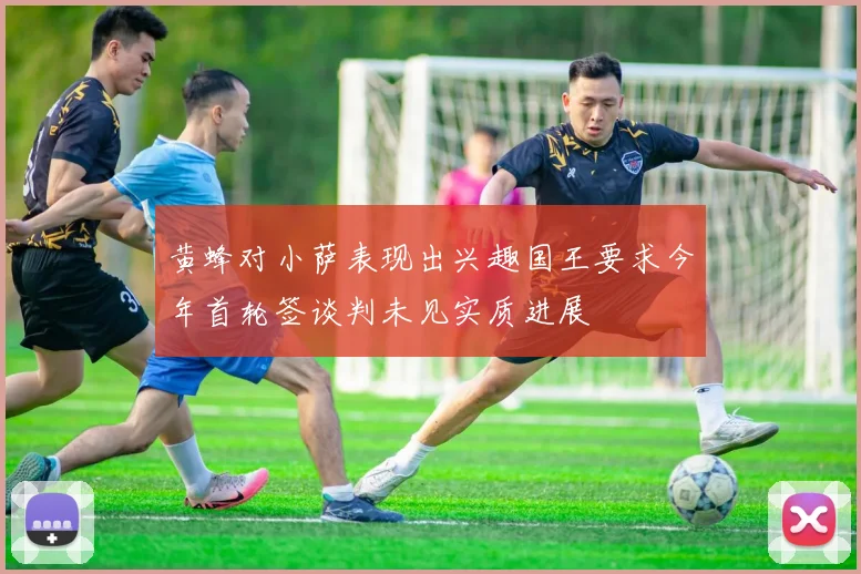 黄蜂对小萨表现出兴趣国王要求今年首轮签谈判未见实质进展
